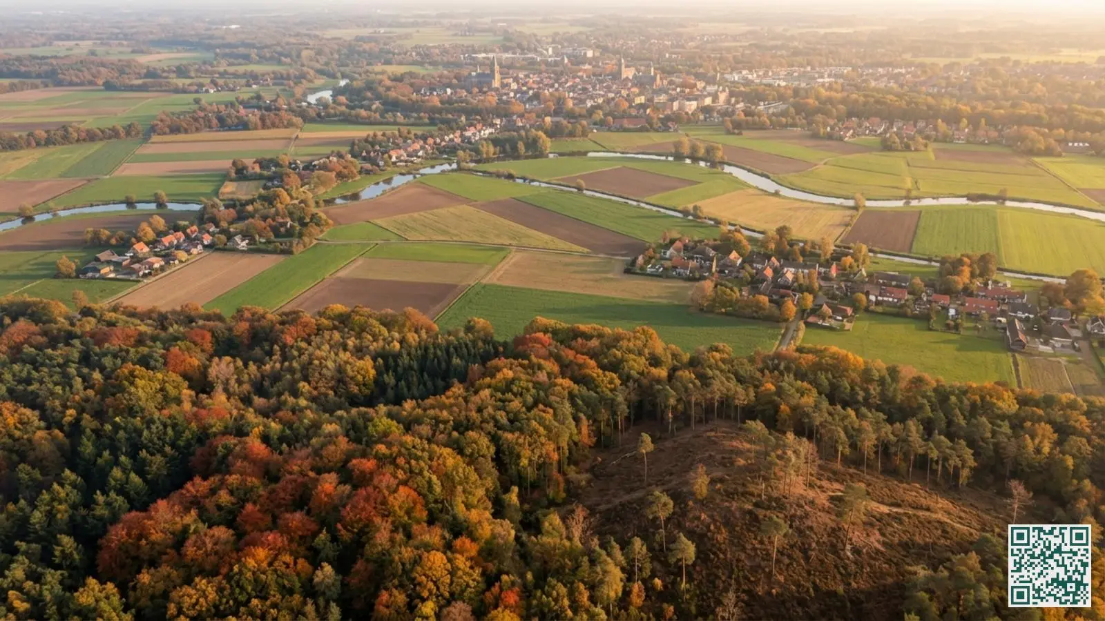 Luchtfoto van Gelderland met afwisselend bosgebied van de Veluwe, landbouwgrond en een stad in de verte